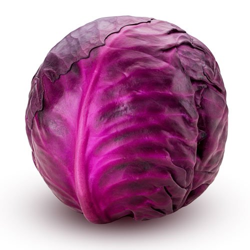 FRESH RED CABBAGE