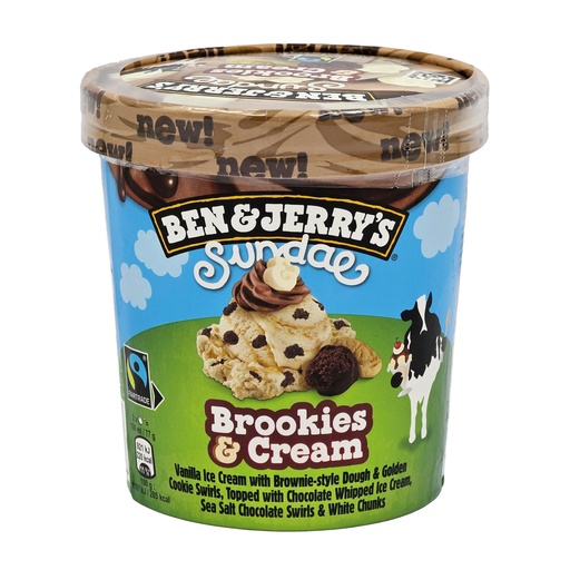 BEN & JERRYS SUNDAE BROOKIES & CREAM 427ML