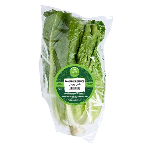 LETO ROMAINE LETTUCE 1 PIECE